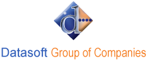 Datasoft Group of Company Logo
